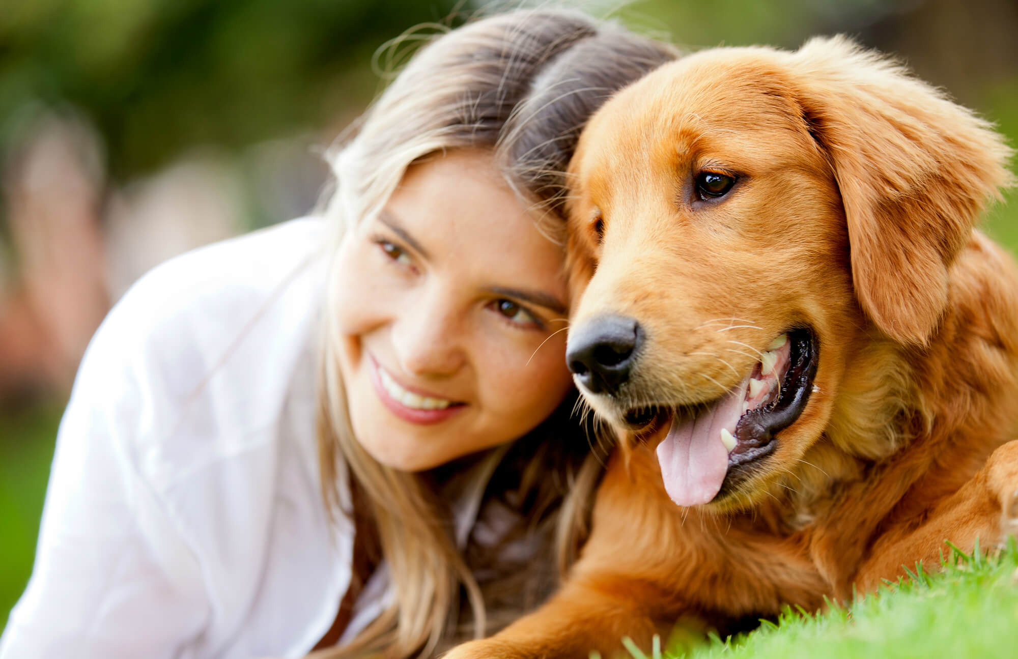 What can Reiki do for your pets?